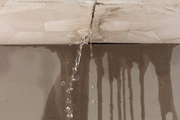 Professional Water Damage Inspection technician working in Arp, TX